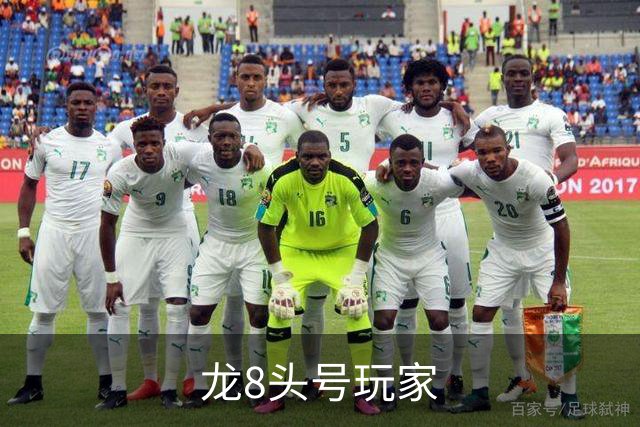 龙8头号玩家团队与业务介绍